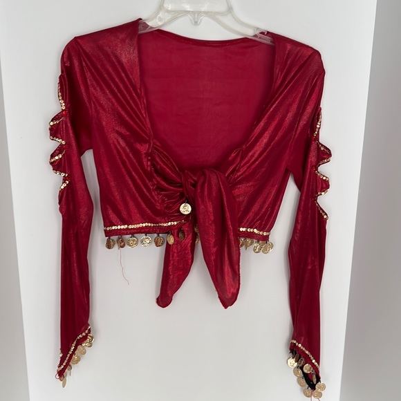 💥SALE💥 Belly Dancer Performer Costume - Picture 4 of 11